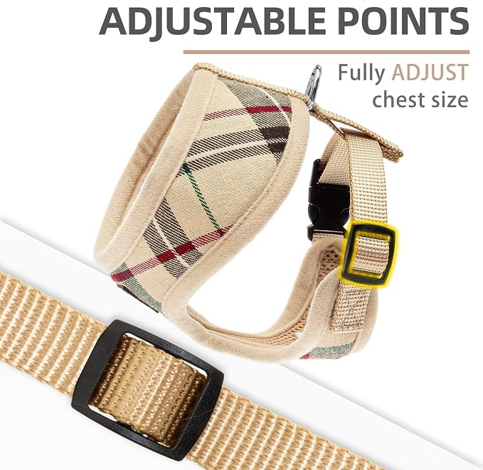 PUPTECK Small Dog Harness and Leash Set No Pull for XS XXS Sized Dogs Puppy | Escape Proof No Choke Pet Cat Adjustable Soft Padded Walking Vest - Image 3