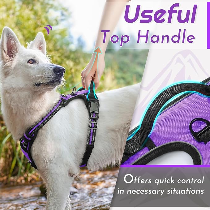 Eagloo Dog Harness for Large Dogs, No Pull Pet Vest with 2 Leash Clips | No Choke with Handle, Adjustable Comfort Fit, Reflective Strips, Easy Walking Control, Purple, Large - Image 4