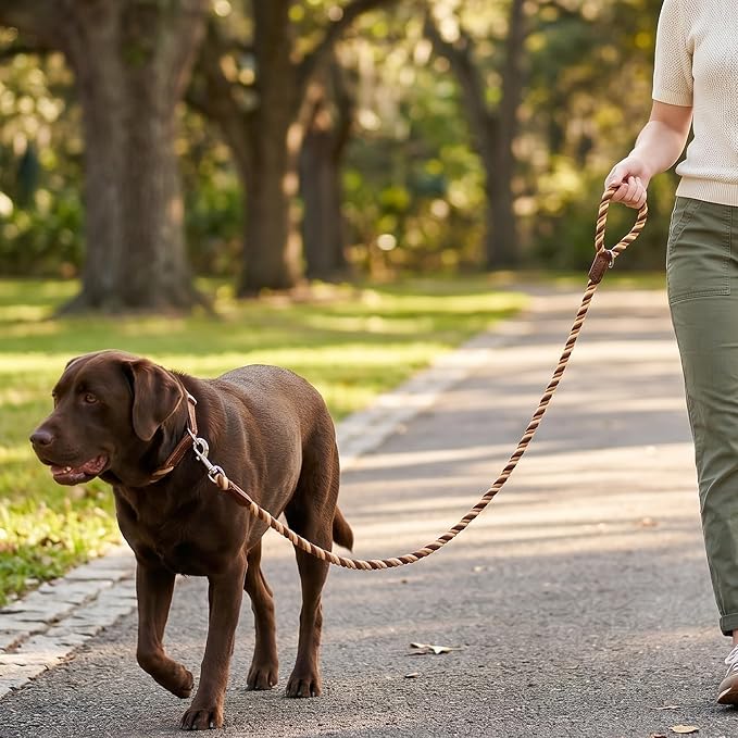 Mile High Life Rainbow Dog Leash Braided Cotton Rope w Leather-Wrapped Ends | Rust-proof 360° swivel clasp, Heavy-duty for medium/large breeds. Great for weddings, daily walks (5FT, 1/2", Brown Gradient) - Image 7