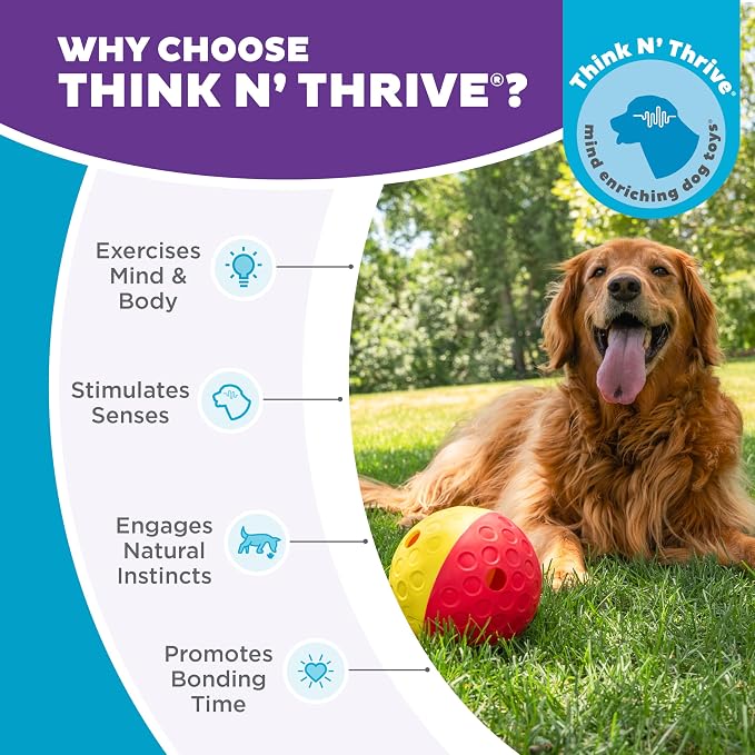 Outward Hound Nina Ottosson Treat Tumble Dog Toy Puzzle Ball, 5.8" | Level 1 Easy, Food-Dispensing Ball, Holds 1 Cup Kibble or Treats, No BPA, Interactive Enrichment, Dogs & Puppies - Image 6