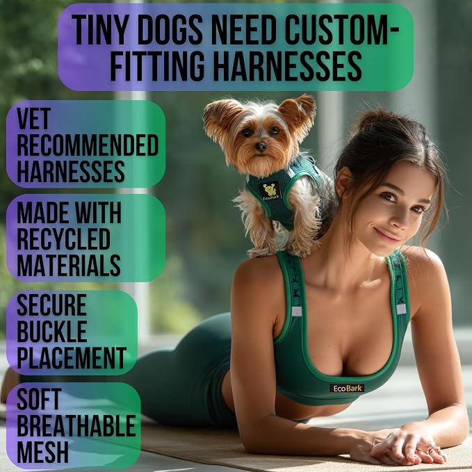 EcoBark Teacup Dog Harness, No Choke Mesh Vest, XXXS, Forest Green | Toy Breed Dog Harnesses for Tiny Dogs, Luxury Soft Step In Mini Body Halter, Puppy Harness Dog Vest Under 5 Pounds Lbs - Image 2