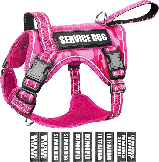 Tactical Dog Harness, No Pull Dog Harness for Medium Large Dogs with Handle & Molle, Military Service Dog Vest Harness in Training Pet Harness for Small Dogs by WINSEE