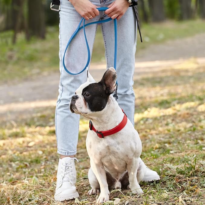 Dogline Biothane Waterproof Dog Leash Strong Coated Nylon Webbing with Black Hardware Odor-Proof Easy to Clean High Performance for Small or Large Dogs Made in USA 4 or 6 ft Lead, Cerulean Blue - Image 7