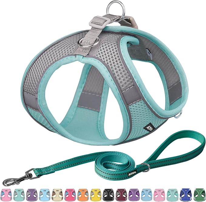AIITLE Dog Harness and Leash Set, Step-in Puppy Pet Vest, Turquoise XL | Breathable Mesh, Adjustable Fit, Reflective Design, Padded Leash Handle, for Small-Medium Dogs & Cats, Walking, Training by AIITLE-FORPETSBETTERLIFE
