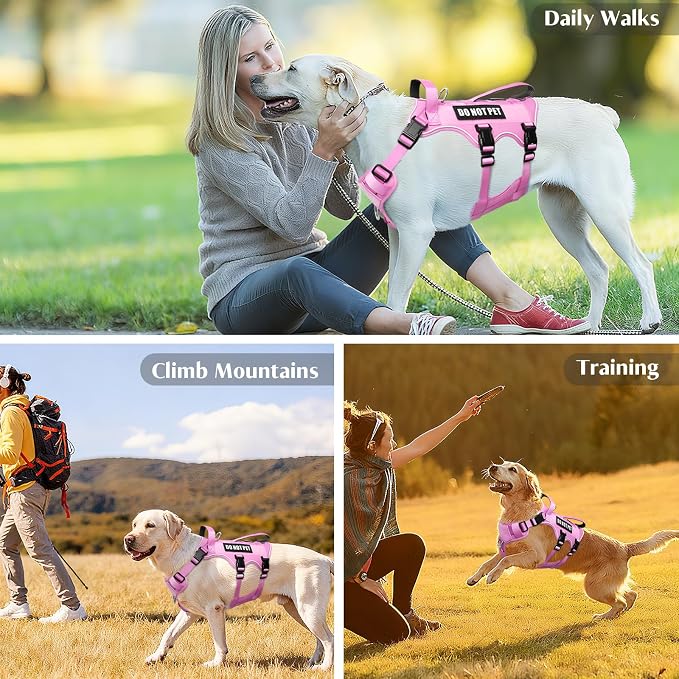 WINSEE Escape Proof Dog Harness with Double Handle+4 Removable Patches | Service Working Molle Harness with Double Handle for Medium Dogs, Tactical Pet Reflective Vest for Walking Hiking Hunting - Image 9