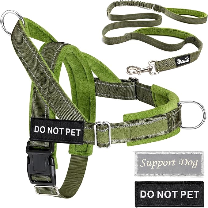 Lukovee No Pull Dog Harness and Leash Set, Soft Padded Vest with Front Clip | Adjustable, No Choke, Reflective,Durable Easy Control Pet Vest Harness for Safe Walking for Medium Large Dogs (Green, XL) - Image 9