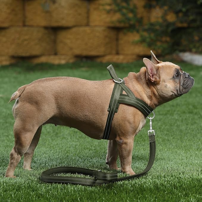 Plutus Pet No Pull Dog Harness for Small Dogs, Breathable Mesh Padded | Adjustable Reflective with Handle, Escape Proof, Quick Fit Pet Vest, Front Clip, for Training and Walking, Ranger Green, S - Image 5