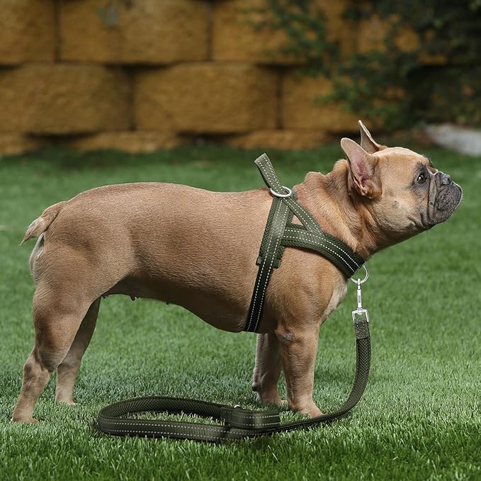 Plutus Pet No Pull Dog Harness for Large Dogs, Breathable Mesh Padded | Adjustable Reflective with Handle, Escape Proof, Quick Fit Pet Vest, Front Clip, for Training and Walking, Ranger Green, L - Image 5