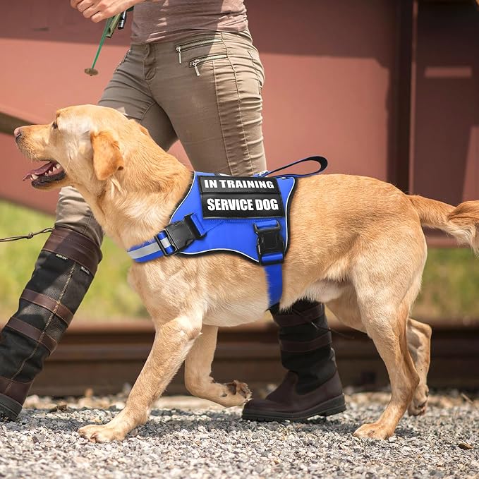 Service Dog Vest Harness and Leash Set+10 Patches,Easy Walk Blue S | No Pull&Adjustable Reflective Dog Harness Small Sized,Dog Leash with 2 Soft Padded Handles,for Training Hiking Walking - Image 7