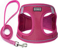 Dog Harness with Leash Set, Step-in Adjustable Puppy Vest, Rose Red XXS | Lightweight Breathable Air Mesh, Night Safety Reflective, No Pull Puppy Vest Harnesses for Small Medium Large Dogs, Cats by BOOMIBOO