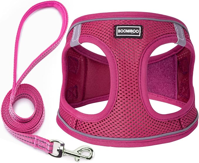 Dog Harness with Leash Set, Step-in Adjustable Puppy Vest, Rose Red XXS | Lightweight Breathable Air Mesh, Night Safety Reflective, No Pull Puppy Vest Harnesses for Small Medium Large Dogs, Cats by BOOMIBOO