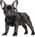 BARKBAY No Pull Dog Harness Large Reflective Dog Harness with Front Clip and Easy Control Handle for Walking Training Running with ID tag Pocket(Black,S) by BARKBAY