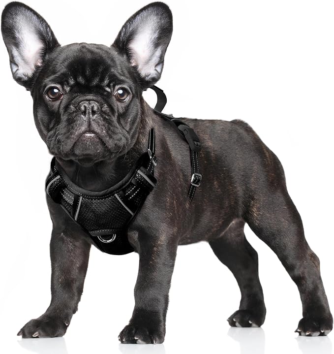 BARKBAY No Pull Dog Harness Large Reflective Dog Harness with Front Clip and Easy Control Handle for Walking Training Running with ID tag Pocket(Black,S) by BARKBAY