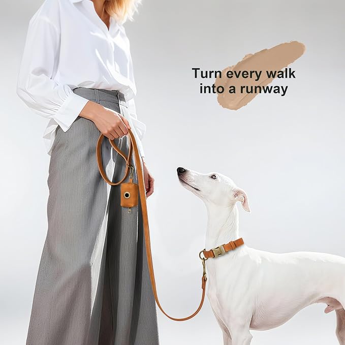 Didog PU Leather Dog Leash for Medium Large Dogs, 3/4in x 5ft, Light Brown | Soft Grip Full Control, Easy Clean, Metal D-ring for Poop Bag Holder, Tangle-Free 360° Swivel Clasp, for Walking & Training - Image 2