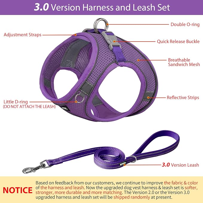 AIITLE Dog Harness and Leash Set, Step-in Puppy Pet Vest, Pure Purple XXXS | Light, Soft, Breathable Air Mesh, Escape-Proof, Easy on and Remove with Hook & Loop, Secure Reflective for Walking - Image 2