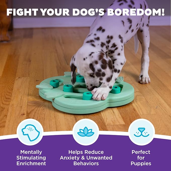Outward Hound Nina Ottosson Puppy Hide N' Slide Dog Toy Treat Puzzle, 11.6" | Level 2 Intermediate, 14 Hidden Treat Compartments, Holds 1/4 Cup Kibble or Treats, Easy Clean, No BPA, Enrichment, Puppies - Image 2