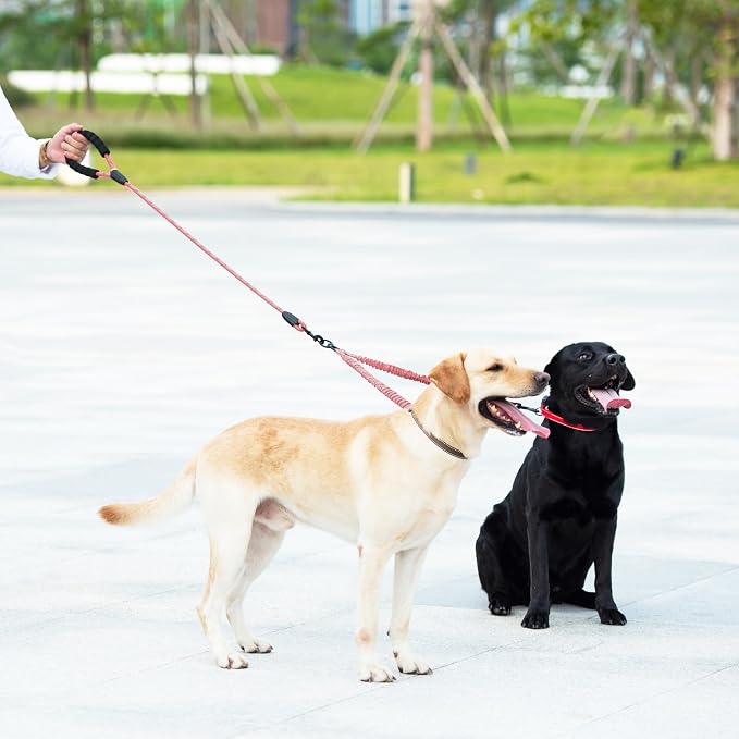 Double Dog Leash, 360° Swivel, No Tangle, Large, Baby Pink | Dual Leash for Two Dogs, Split Leash, Shock-Absorbing Bungee, Padded Handle, Heavy-Duty Rope - Image 6
