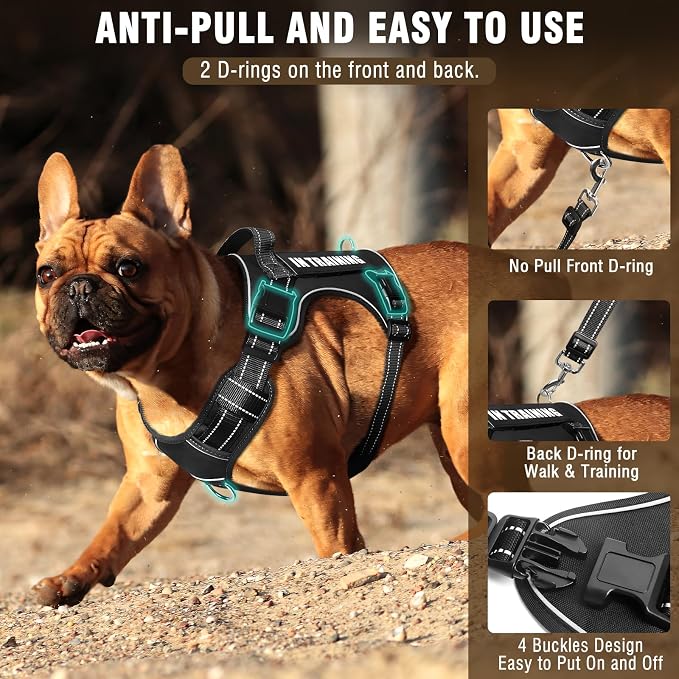 Tactical Dog Harness and Leash Set Medium Sized Dog+10 Dog Patches | Adjustable No Pull Service Animal Dog Vest with Dog Seat Belt,Padded Handles,Reflective Easy Walk for Training Hiking Black M - Image 2