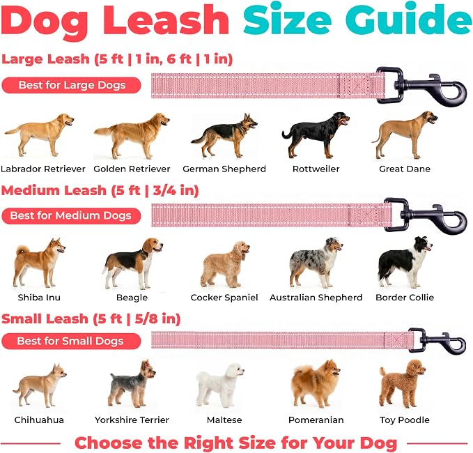 Best Pet Supplies Voyager Nylon Dog Leash - Pink, Small | 5ft in Length, 5/8" in Width, Reflective, Soft Neoprene Handle, Heavy Duty Metal Clips for Running, Walking & Training - Image 6