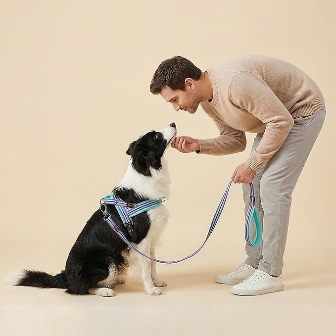 Didog 6FT Reflective Dog Leash for Medium Large Dogs,3/4" Width, Mixed-Blue | Soft Padded Handle, Plush Comfort Grip, Tangle-Free, 360°Heavy-Duty Strengthened Clasp for Daily Walks/Training, Night Safety - Image 3