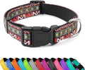Reflective Dog Collar, Adjustable Neoprene Padded,Retro Geometric Flowers,M | Breathable Nylon for Medium Dogs,Tear-Resistant Webbing,Chafe‑Free on Walks and Hikes,Metal D-Ring,Night Safety by PWOD