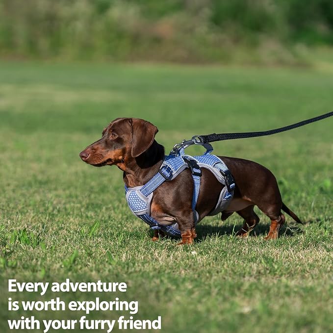 Escape Proof Dog Harness, Dachshund Harness, Reflective Dog Harness with Handle, Durable,Adjustable Vest for Small Medium Large Dogs Walking, Training, and Running Gear (Technicolor Blue,S) - Image 7
