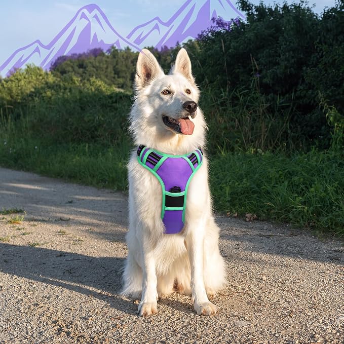 Eagloo Dog Harness for Large Dogs, No Pull Pet Vest with 2 Leash Clips | No Choke with Handle, Adjustable Comfort Fit, Reflective Strips, Easy Walking Control, Purple & Turquoise, X-Large - Image 8
