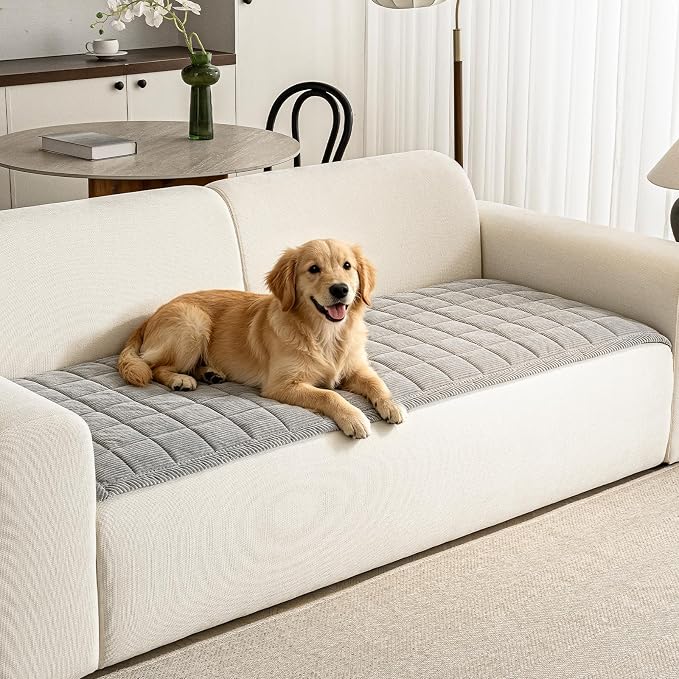 Couch Covers for Dogs, Non Slip Washable Pet Couch Covers for Sofa | 27.6”x70.9” Light Grey Soft Velvet Sofa Covers for 2-3 Cushion Couch, Couch Protect Against Pet Hair, Scratches & Stains by PJLZJFBY