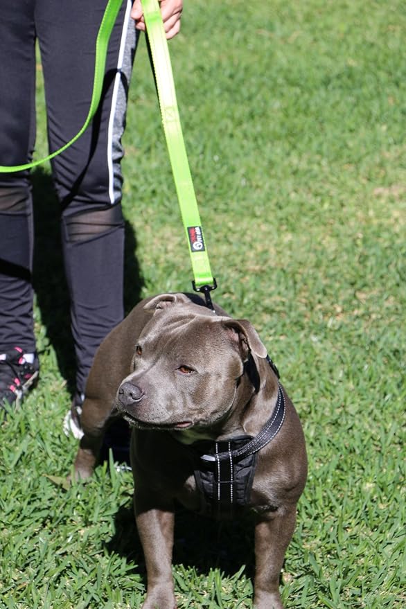 Dog Leash 6ft Long,Traffic Padded Two Handle,Heavy Duty,Reflective Double Handles Lead for Control Safety Training,Leashes for Large Dogs or Medium Dogs,Dual Handles Leads(Green) - Image 3