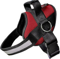 Joyride Basic Dog Harness 1.0 | Red Rush | S | Adjustable pet vest with 3 side leash rings for training, walking and improved control for small, medium or large dogs by JoyrideHarness