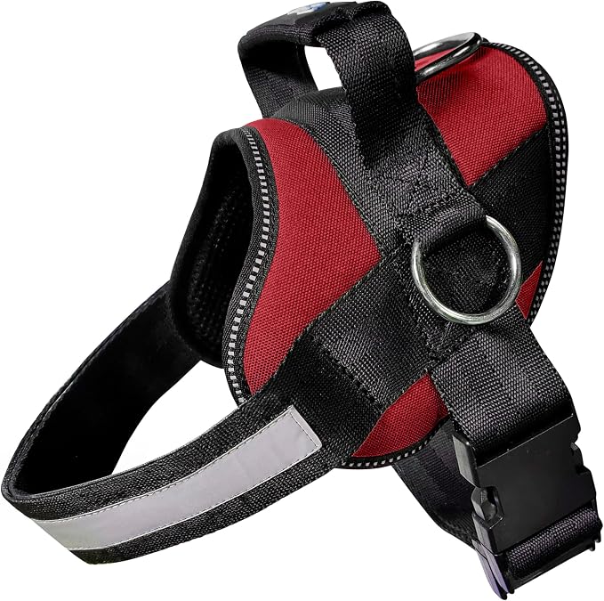 Joyride Basic Dog Harness 1.0 | Red Rush | S | Adjustable pet vest with 3 side leash rings for training, walking and improved control for small, medium or large dogs by JoyrideHarness
