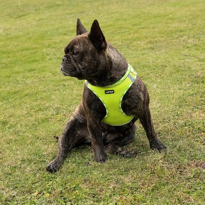 AMTOR Small Dog Harness with Leash Set, No Escape Easy Walk Puppy Harnesses for Training Walking, Step-in Reflective Soft Dogs Vest for XS S Medium Extra-Small Large Sized Dog(Green/White,L) - Image 6