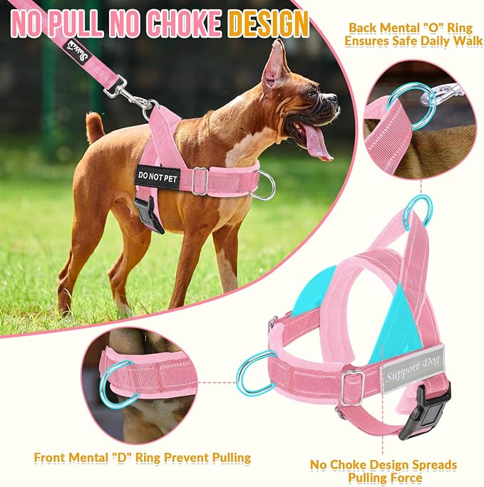 Lukovee No Pull Dog Harness and Leash Set, Soft Padded Vest with Front Clip | Adjustable, No Choke, Reflective,Durable Easy Control Pet Vest Harness for Safe Walking for Medium Large Dogs (Pink, L) - Image 2