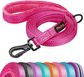 Didog 6FT Reflective Dog Leash for Medium Large Dogs,3/4" Width, Hot Pink | Soft Padded Handle, Plush Comfort Grip, Tangle-Free, 360°Heavy-Duty Strengthened Clasp for Daily Walks/Training, Night Safety by Didog
