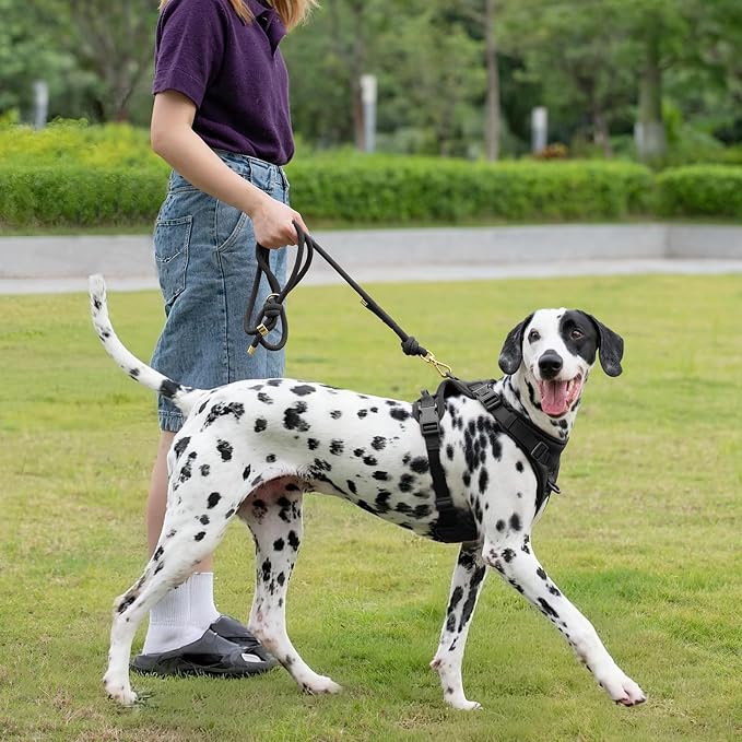 5FT Dog Leash Puppy Cat Rope Lead for Small Medium Large Dogs | Black, with Anti-tangle Swivel Clip, Traffic Non-slip Grip Handle for Extra Control, Ideal for Daily Walks and Training - Image 8