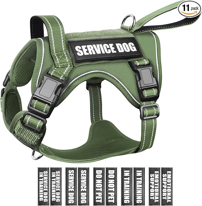 Tactical Dog Harness, No Pull Dog Harness for Medium Large Dogs with Handle & Molle, Military Service Dog Vest Harness in Training Pet Harness for Small Dogs by WINSEE