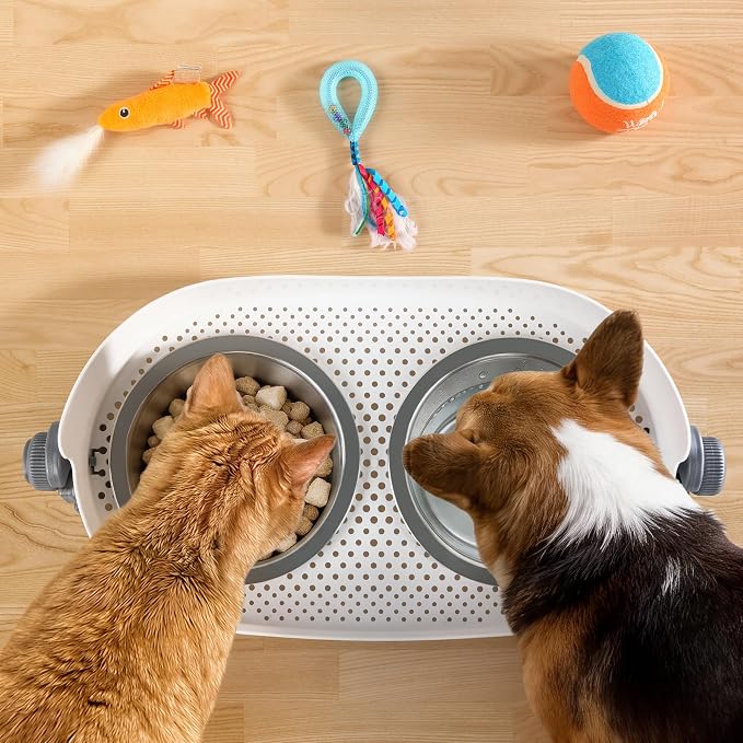 All for Paws Elevated Dog Bowls, Stainless Steel Food & Water Bowls, Height Adjustable Raised Cat Feeder Mess Proof Pet Feeding Bowls for Small to Large Size Dogs - Image 8