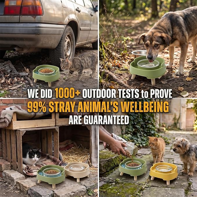 2 Pack Ant Not Cross Elevated Cat Bowls Mess Proof-4 Food Grade Glass Bowls & 2 Lids- No Spill Cat Food and Water Feeding Station for Cats&Puppy Indoor & Outdoor,No Whisker Fatigue Dish - Image 3