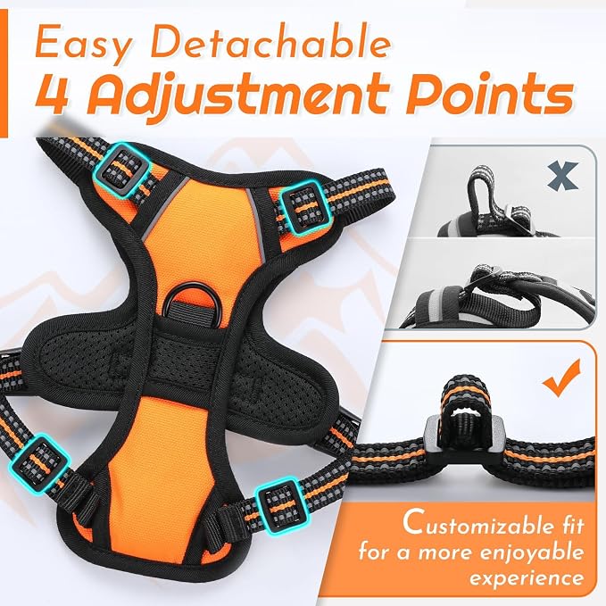 Eagloo Dog Harness for Small Dogs, No Pull Pet Vest with 2 Leash Clips | No Choke with Handle, Adjustable Comfort Fit, Reflective Strips, Easy Walking Control, Orange, X-Small - Image 9