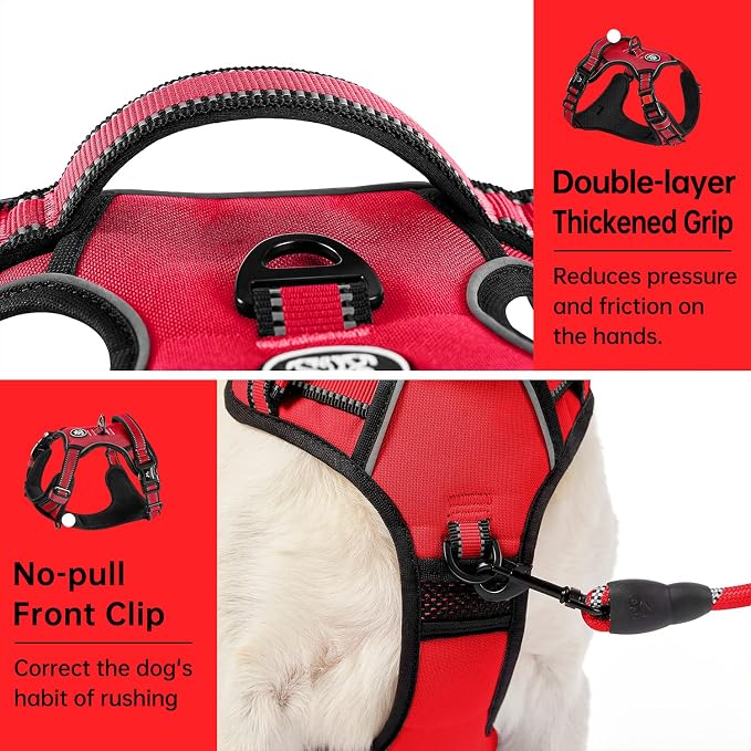 IVY&LANE No Pull Dog Harness for Small Dogs, Dog Vest Harness with Leash, Safety Belt and Storage Strap, Fully Adjustable, 360° Reflective Strip, Soft Handle (Red, S) - Image 4