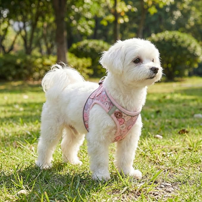 Mihqy Step in Dog Harness and Leash Set, Soft Breathable Mesh, Pink Grid,XS | Reflective, Adjustable No Pull Harnesses for Small Dogs Puppy and Cats, Lightweight Vest Harnesses, Fashion Floral Design - Image 5