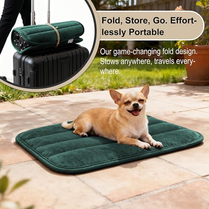 pobopobo Dog Crate Pad, Ultra Soft & Anti-Slip Kennel Mat, Secure Fit for Metal Crates & Dog Cages, Washable Cozy Bed for Small Medium Large Dogs (Green, S(23"*14"*1.5")) - Image 5