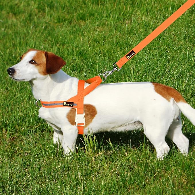 Plutus Pet Cotton Dog Harness and Leash Set, Reflective and Soft Padded, Quick Fit Vest Harness, for Small, Medium and Large Dogs, Orange, L - Image 6