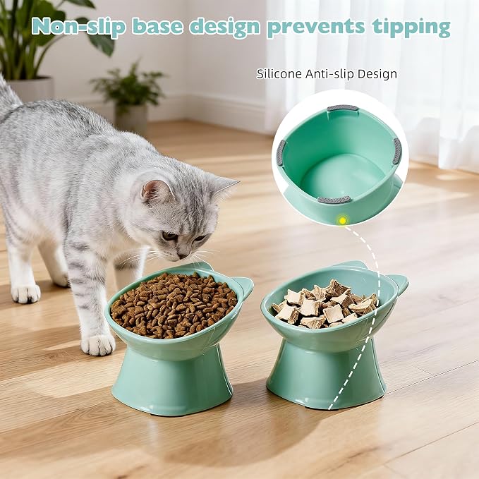 KSIA Klear Elevated Cat Bowls 2 Pack, Tilted Raised Cat Bowl for Food and Water, 4.72" Wide, Whisker Friendly Anti Vomit for Indoor Cats, Microwave and Dishwasher Safe, Green - Image 6