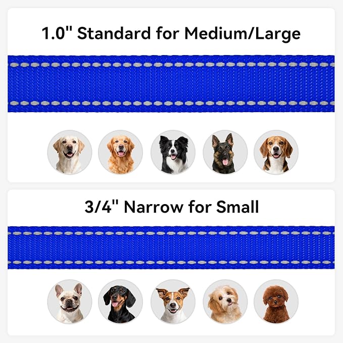 Joytale Reflective Dog Leash for Medium & Large Dogs, 4 FT x 1", Navy Blue | Heavy Duty Nylon Webbing, Padded Handle for Comfort, Visible at Night, for Walking & Training - Image 6