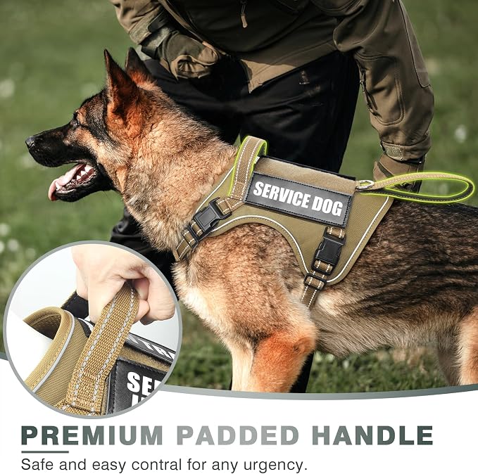 Tactical Dog Harness, No Pull Dog Harness for Medium Large Dogs with Handle & Molle, Military Service Dog Vest Harness in Training Pet Harness for Small Dogs - Image 3