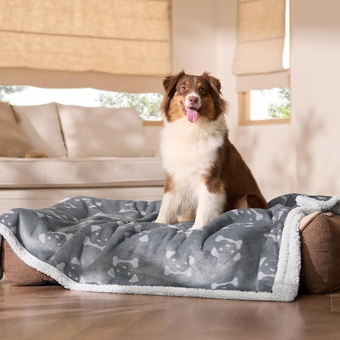 Bedsure Waterproof Dog Blankets for Large Dogs - 50"x60", Anchor Gray | Soft Print Sherpa Fleece Pet Cat Blanket Washable for Couch Bed Protection, Cozy Plush Reversible Throw Furniture Protector - Image 7