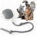 Rocfish Durable Interactive Cat Toys for Indoor Cats (Grey, 01) | Smart Automatic Cat Chase Ball Toy, Upgraded Speedy Tail Kitten Toy for Bored Indoor Adult Pets by Unknown