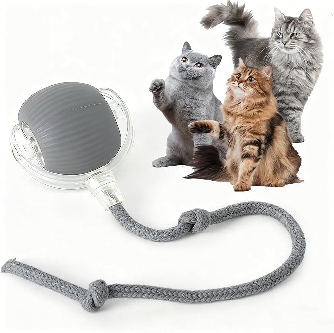 Rocfish Durable Interactive Cat Toys for Indoor Cats (Grey, 01) | Smart Automatic Cat Chase Ball Toy, Upgraded Speedy Tail Kitten Toy for Bored Indoor Adult Pets by Unknown