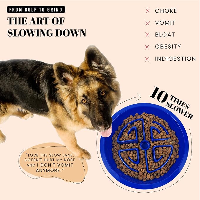 AVERYDAY Slow Feeder Dog Bowls for Large Breeds Fits Raised Feeding Station, Puzzle Dog Food Bowls to Slow Down Eating, Dogs Feeding Bowl with Non-Slip, Slows Feeder Pet Bowl for Wet and Dry Food - Image 2